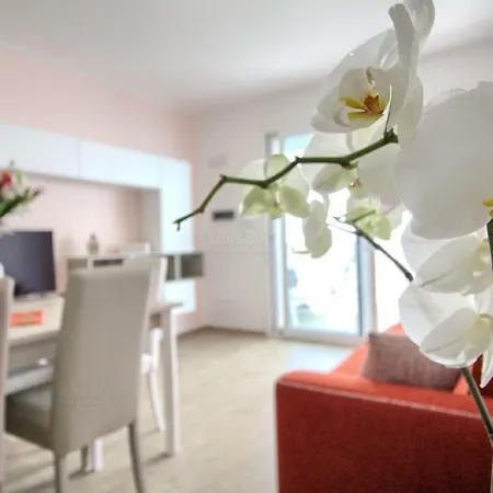 Apartment Jacuzzi Homes By Lovesud